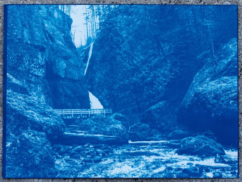 2022-11-02-sunandsilver-cyanotype-Wahclella-Falls-903