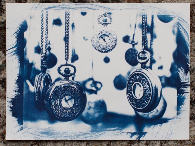 sunandsilver-cyanotype-portfolio-2023-333