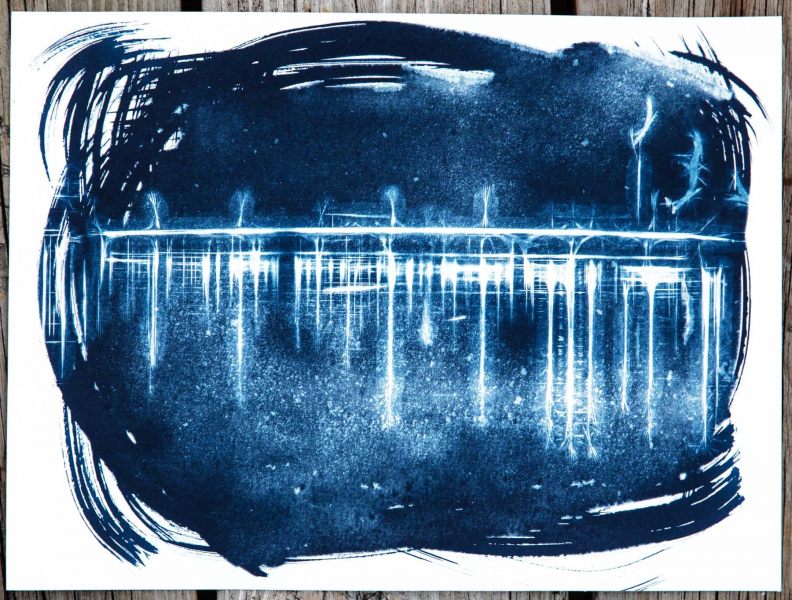 sunandsilver-cyanotype-portfolio-2023-921