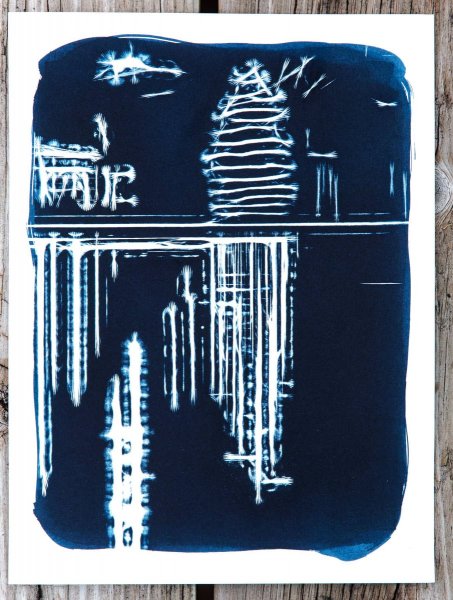 sunandsilver-cyanotype-portfolio-2023-924