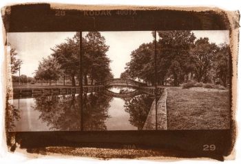 Salt Print Portfolio