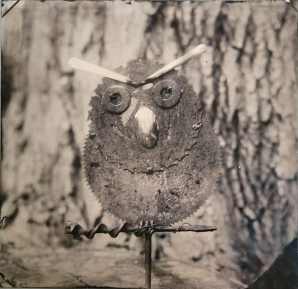 2022-07-23-sunandsilver-owl-art-ambrotype-2