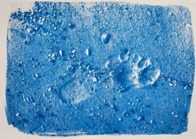 Sand and Shells and Sun