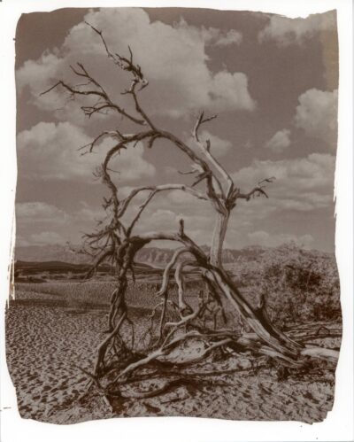 Death Valley – Salt Print