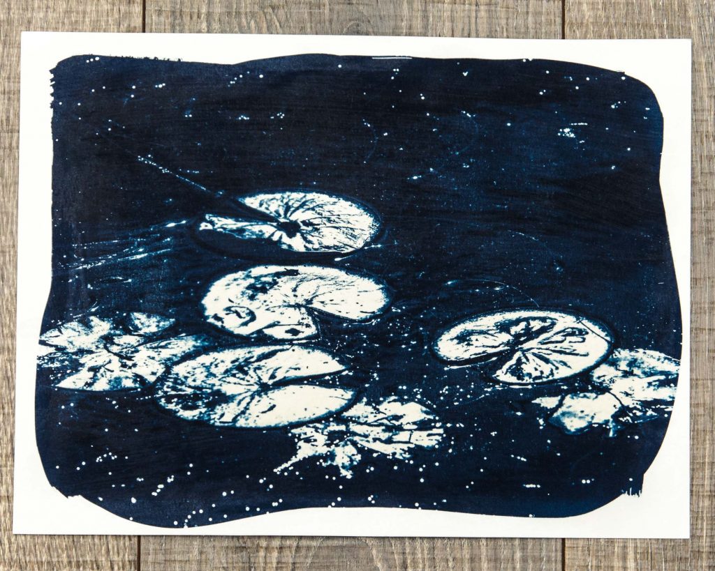 lily pads cyanotype print
