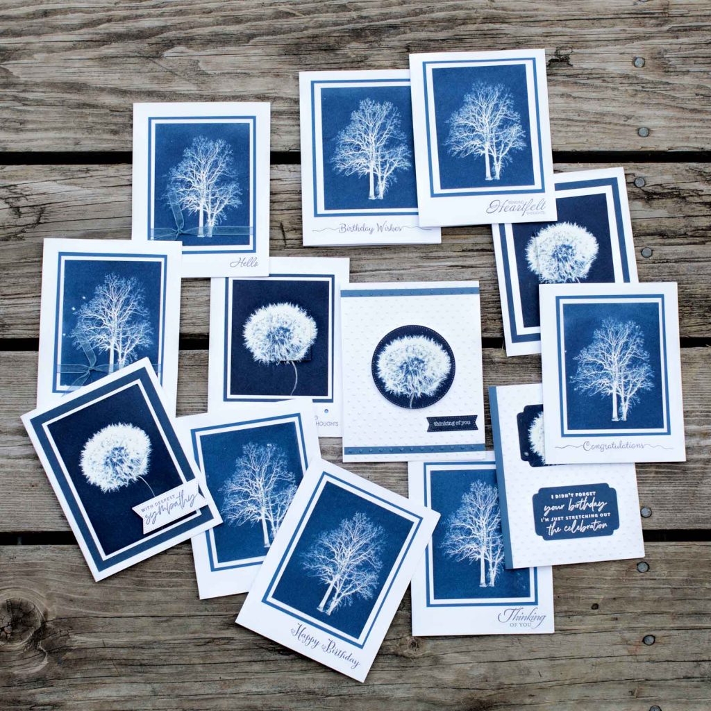 cyanotype greeting cards
