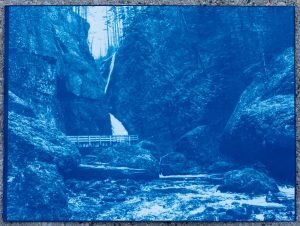 Wahclella Falls Cyanotype