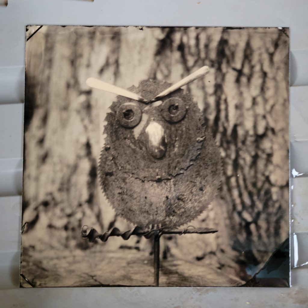 tintype of metal art owl