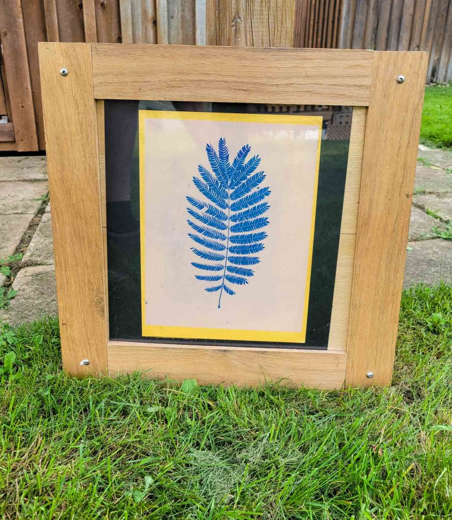 anthotype of a fern in a printing frame
