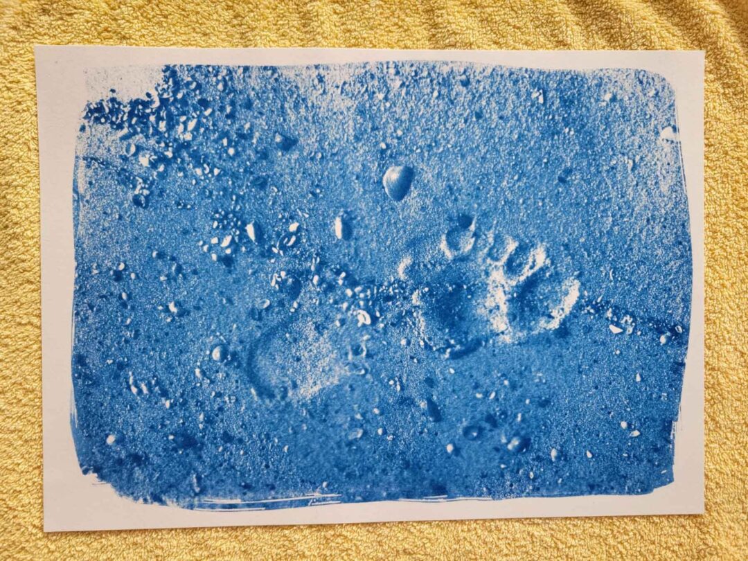 sunandsilver-cyanotype-portfolio-2023-175605
