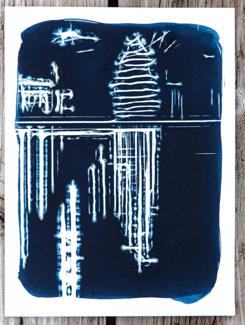 sunandsilver-cyanotype-portfolio-2023-924