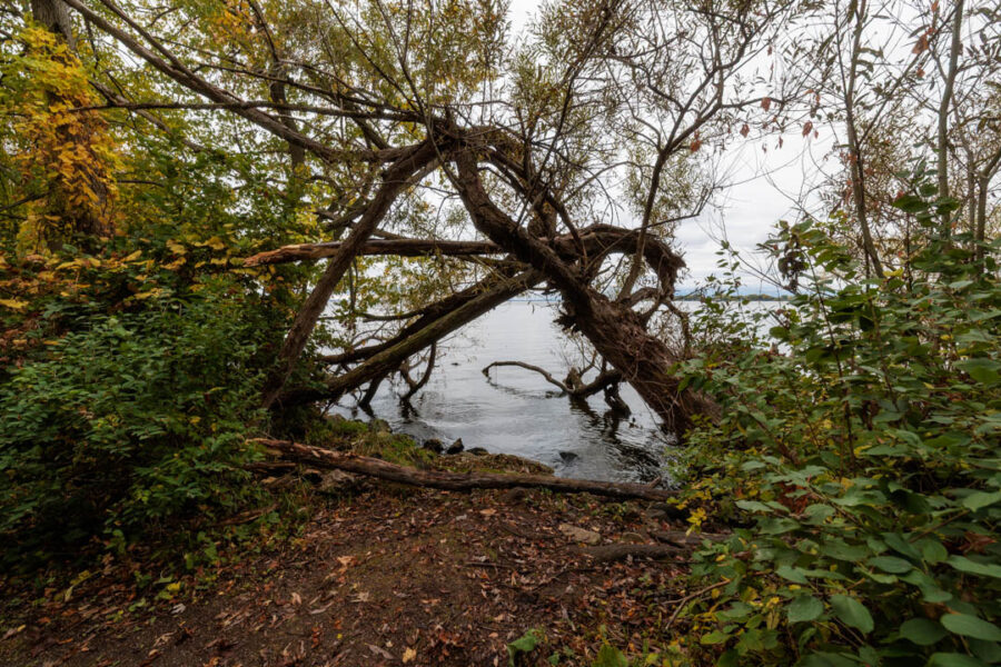 Asylum Point